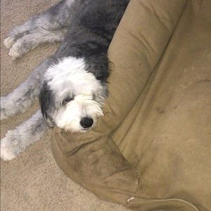 Meet your Posher, Robert